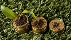 Financial Literacy & Economic Resilience