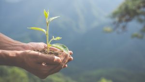 Policy Engagement & Community Advocacy